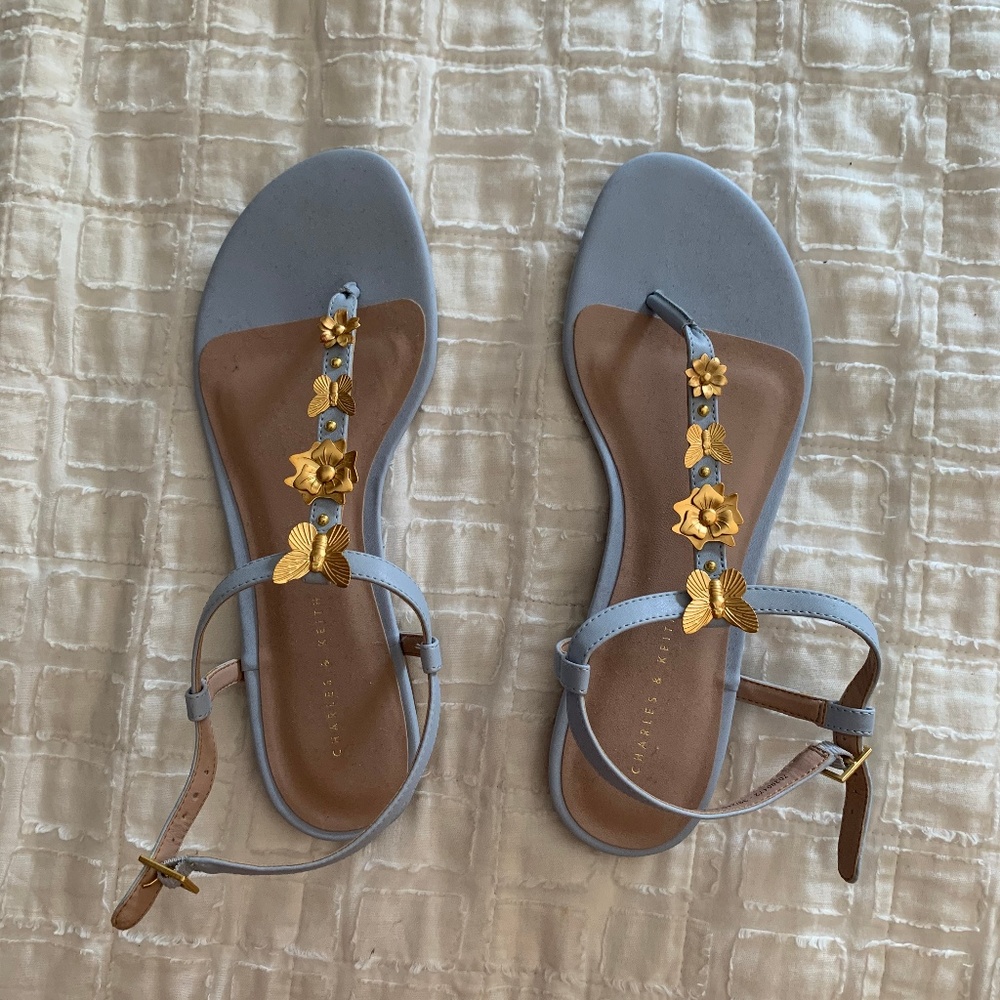 Blue Sandals with Gold Detailing